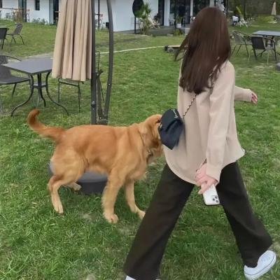 生活大爆炸